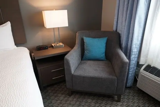 Standard Oda, 1 En Büyük (King) Boy Yatak (Executive 1 King Bed, Non-Smoking)