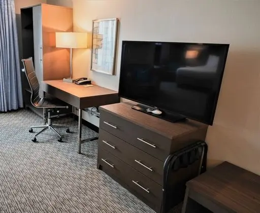 Standard Oda, 1 En Büyük (King) Boy Yatak (Executive 1 King Bed, Non-Smoking)