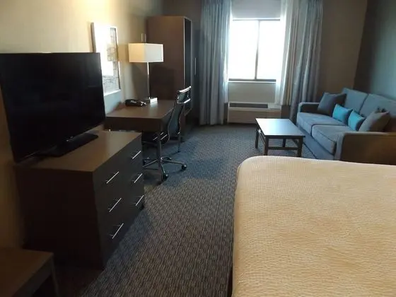 Standard Süit, 1 En Büyük (King) Boy Yatak (Deluxe 1 King Bed, Sofa bed, Non-Smok)