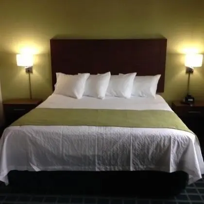 Executive Oda, 1 En Büyük (King) Boy Yatak