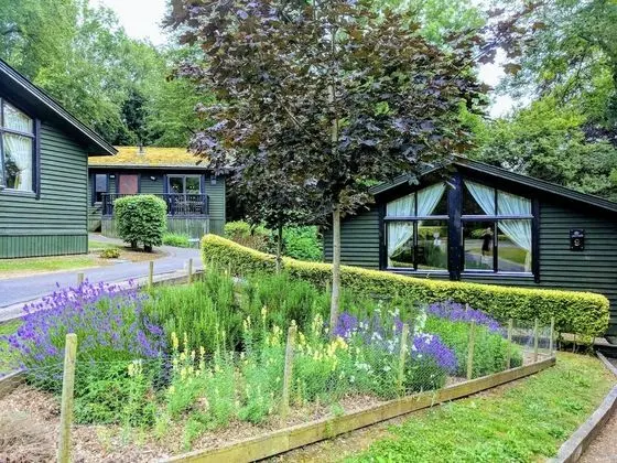 Oda, 2 Yatak Odası, Mutfak, Bahçeli (Woodland Lodge)