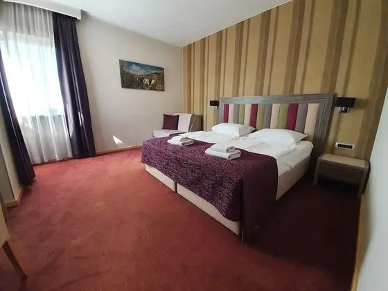 Superior Tek Büyük veya İki Ayrı Yataklı Oda, Şehir Manzaralı