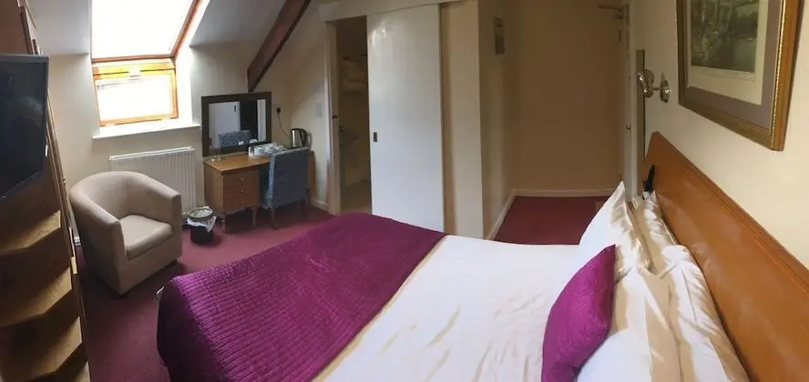 Tek Büyük Yataklı Oda (with Shower - Pet Friendly)