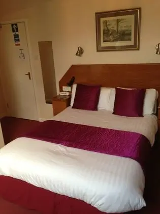 Tek Büyük Yataklı Oda (with Shower - Pet Friendly)