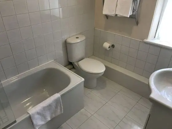 Traditional İki Ayrı Yataklı Oda, 2 Tek Kişilik Yatak (no pets allowed)
