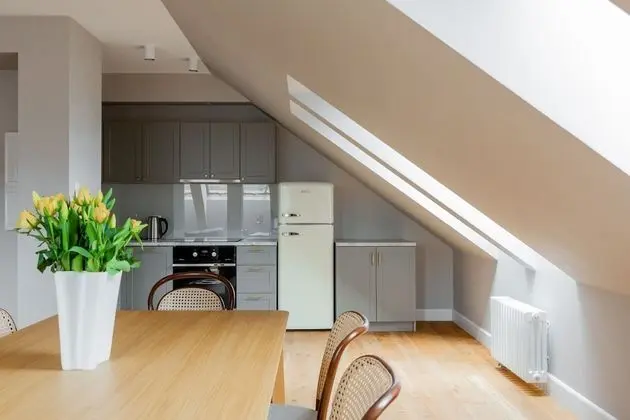 Çatı Katı Süiti (Penthouse)
