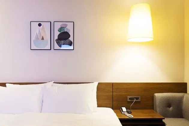 Deluxe Tek Büyük Yataklı Oda, 1 En Büyük (King) Boy Yatak, Sigara İçilmez (with SPA)