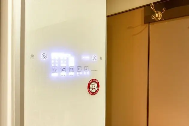 Deluxe Tek Büyük Yataklı Oda (B, LG Styler, 1PC)