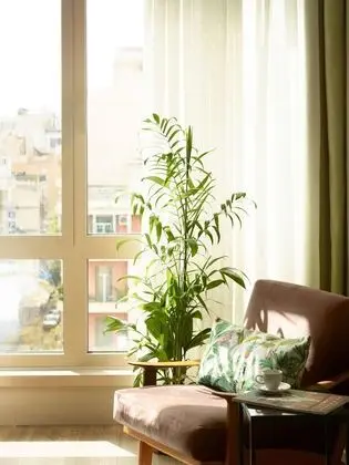 Urban Large King Room with City View