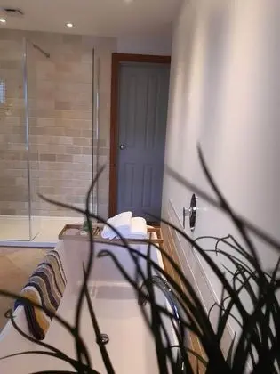 Süit