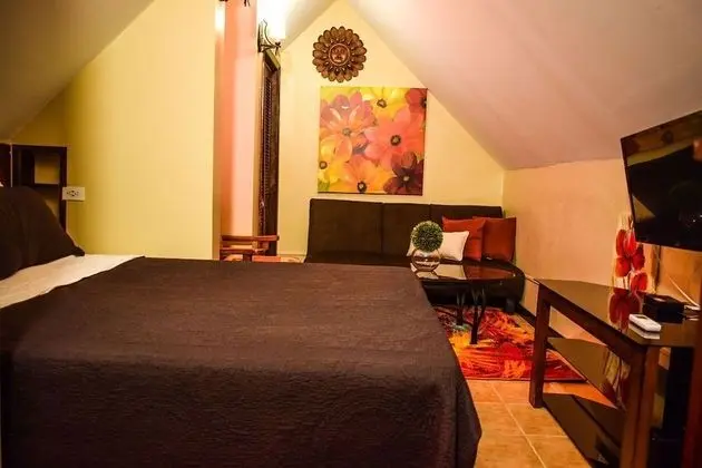 Deluxe Apart Daire, 1 Yatak Odası, Buzdolabı ve Mikrodalga, Havuz Manzaralı
