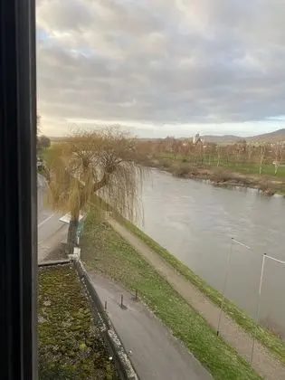 Basic Tek Kişilik Oda, 1 Tek Kişilik Yatak, Nehir Manzaralı