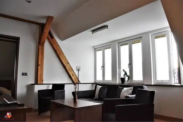 Süit