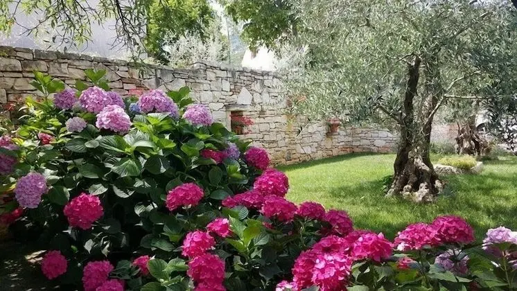 Luxury Apart Daire, Koy Manzaralı