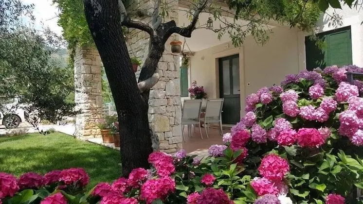 Luxury Apart Daire, Koy Manzaralı