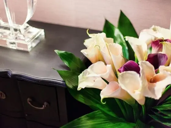 Apart Daire (3 Bedrooms)