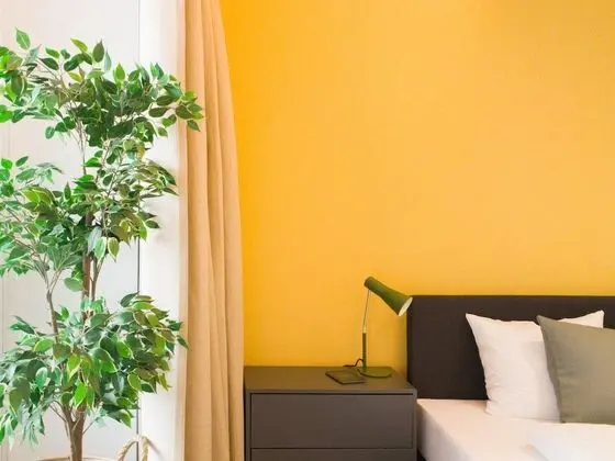 Comfort Stüdyo Süit