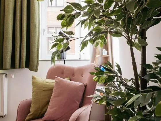 Design Stüdyo Süit
