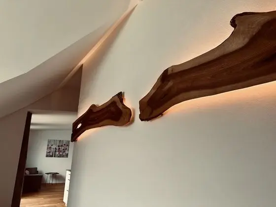 Superior Stüdyo, 2 Yatak Odası (PUELTZ)