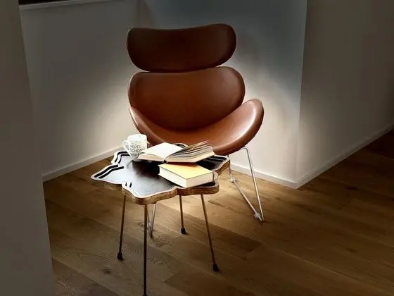 Superior Stüdyo, 2 Yatak Odası (PUELTZ)