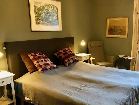 Traditional Tek Büyük Yataklı Oda, 1 Çift Kişilik Yatak, Banyolu/Duşlu