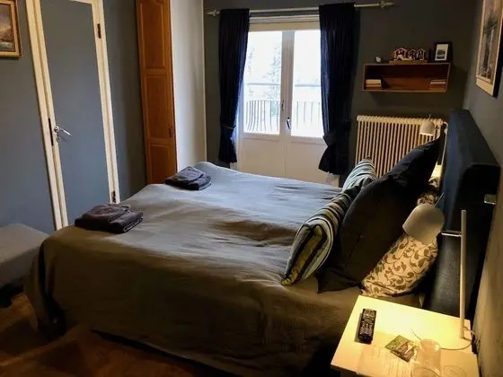 Traditional Tek Büyük Yataklı Oda, 1 Çift Kişilik Yatak, Banyolu/Duşlu