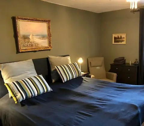 Traditional Tek Büyük Yataklı Oda, 1 Çift Kişilik Yatak, Banyolu/Duşlu