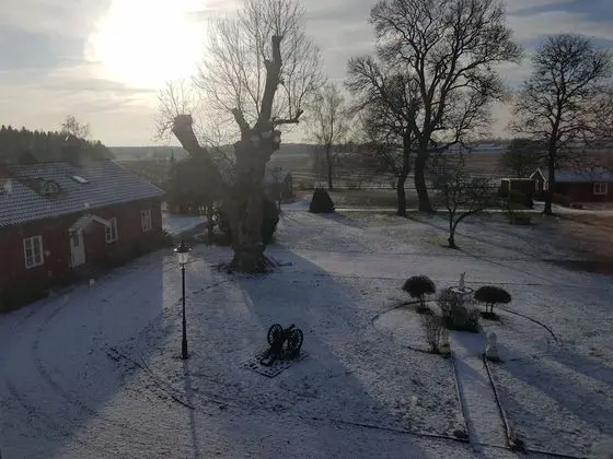 Traditional Tek Büyük Yataklı Oda, 1 Çift Kişilik Yatak, Banyolu/Duşlu