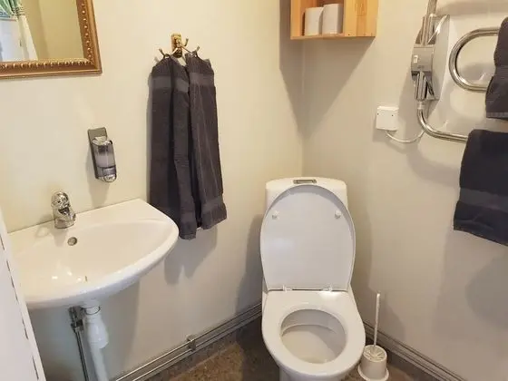 Traditional Tek Büyük Yataklı Oda, 1 Çift Kişilik Yatak, Banyolu/Duşlu