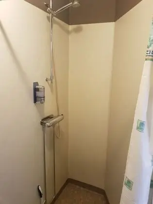 Traditional Tek Büyük Yataklı Oda, 1 Çift Kişilik Yatak, Banyolu/Duşlu