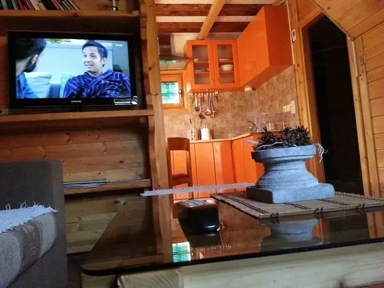 Dağ Evi (1)