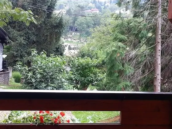 Dağ Evi (1)