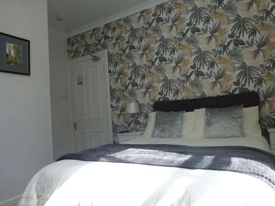 Deluxe Tek Büyük Yataklı Oda, Banyolu/Duşlu, Bahçe Manzaralı