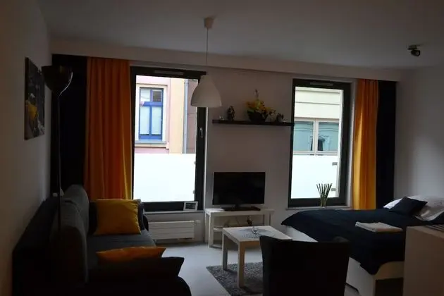 Apart Daire, 1 Yatak Odası (Tkacka Street 69)