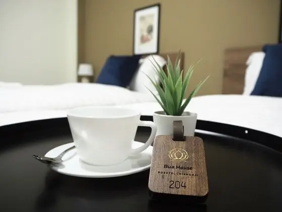 Deluxe Oda, 2 Tek Kişilik Yatak, Sigara İçilmez, Özel Banyo