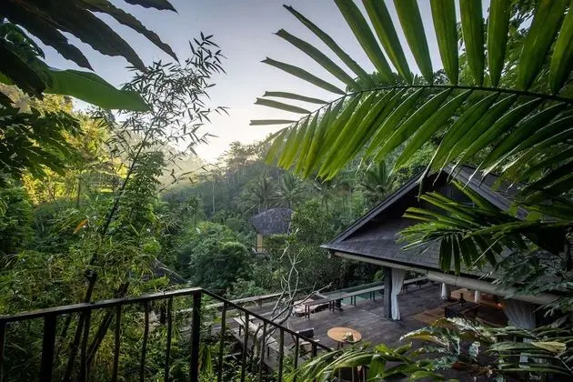 Rainforest Pool Bale