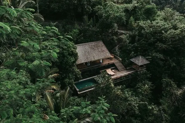 Rainforest Pool Bale