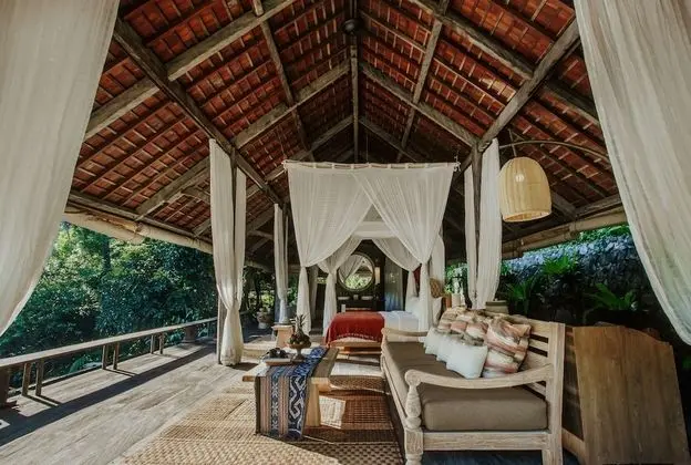 Rainforest Pool Bale
