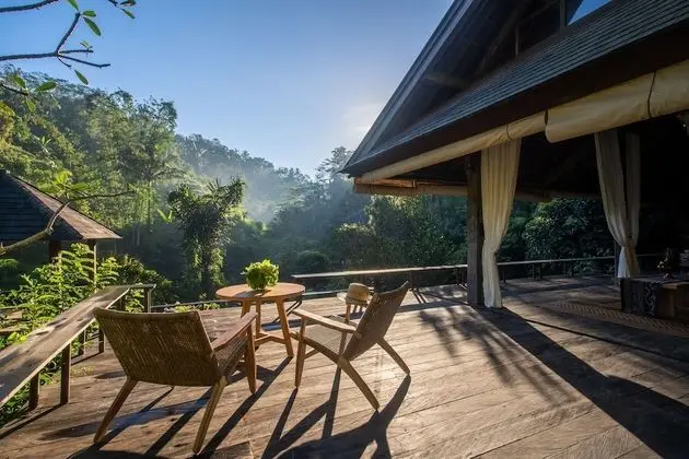 Rainforest Pool Bale