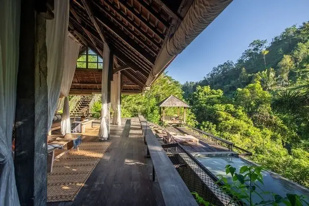 Rainforest Pool Bale