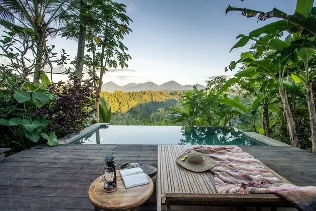 Rainforest Pool Bale