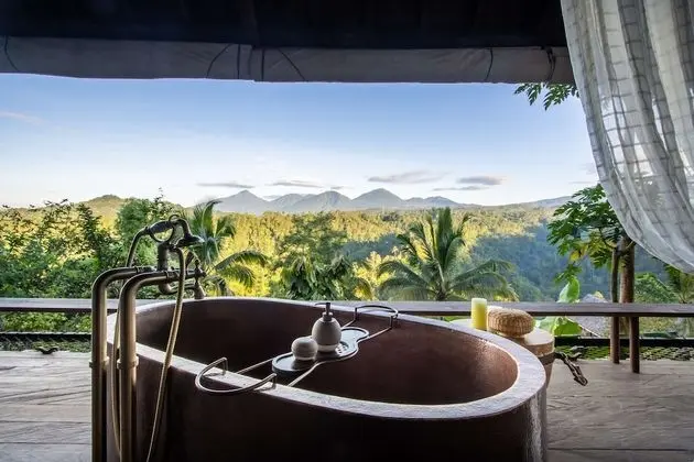 Rainforest Pool Bale
