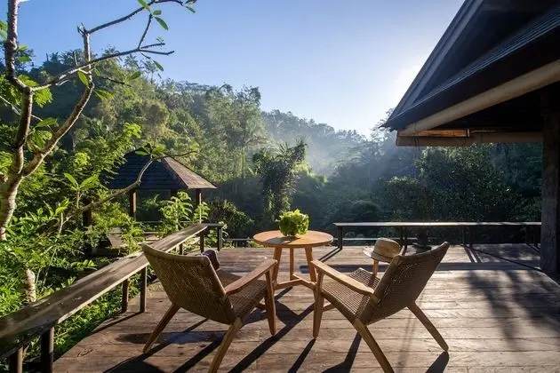 Rainforest Pool Bale