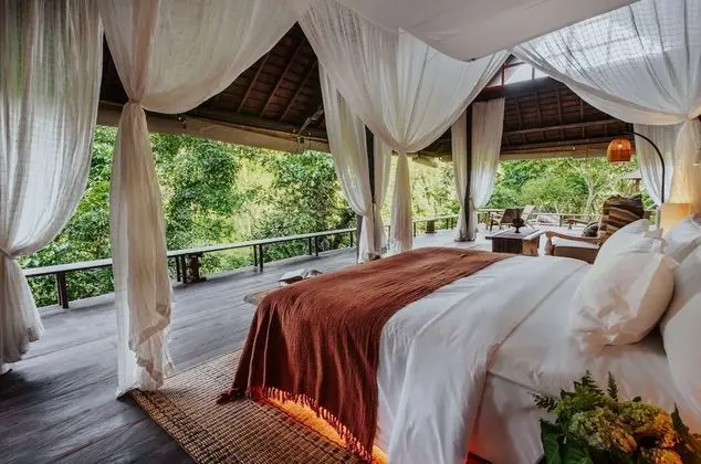 Riverside Jungle Pool Balé