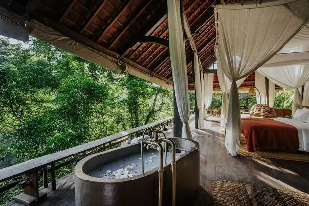 Riverside Jungle Pool Balé