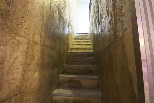 Oda (Pension Room (Duplex))