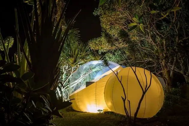 BUBBLE Lemon