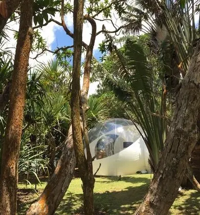 BUBBLE Vanilla