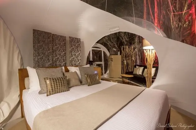 BUBBLE Banyan Tree