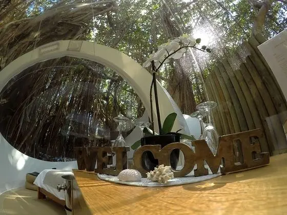 BUBBLE Banyan Tree